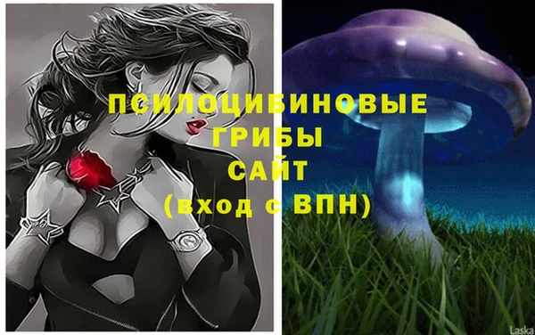 каннабис Верея