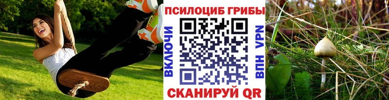 Галлюциногенные грибы Magic Shrooms  MEGA ссылки  Галич 