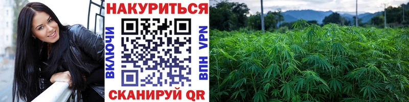 кракен вход  Галич  Канабис Ganja 